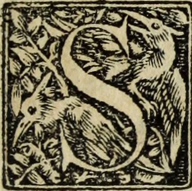 An illustration from Lazari Bayfii annotationes in legem II : De captiuis & postliminio reuersis, in quibus tractatur De re nauali, per autorem recognitæ : eivsdem annotationes in tractatum De auro & argento legato, quibus vestimẽtoru ̃& vasculorũ genera explicat̃ur : his omnibus imagines ab antiquissimis monumentis desumptas ad argumenti declaratione ̃subiunximus. Item Antonii Thylesii De coloribus libellus, à coloribus uestium non alienus, 1537, leaf 146