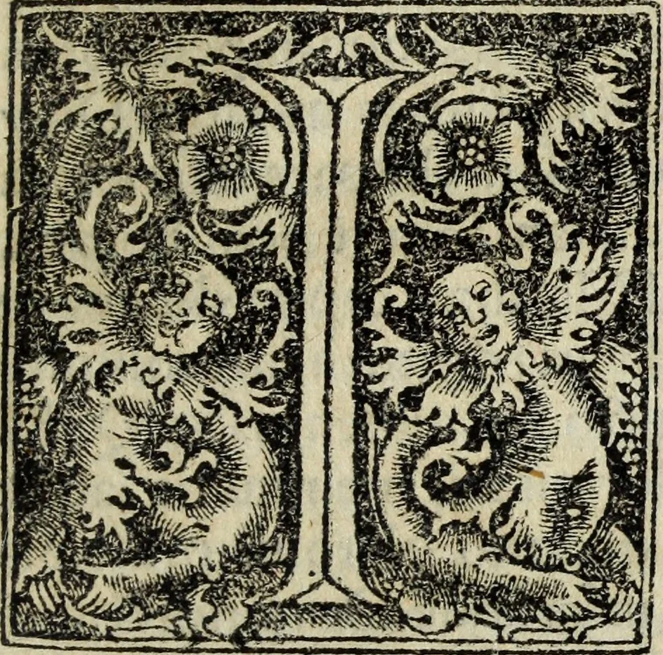 An illustration from Lazari Bayfii annotationes in legem II : De captiuis & postliminio reuersis, in quibus tractatur De re nauali, per autorem recognitæ : eivsdem annotationes in tractatum De auro & argento legato, quibus vestimẽtoru ̃& vasculorũ genera explicat̃ur : his omnibus imagines ab antiquissimis monumentis desumptas ad argumenti declaratione ̃subiunximus. Item Antonii Thylesii De coloribus libellus, à coloribus uestium non alienus, 1537, leaf 246
