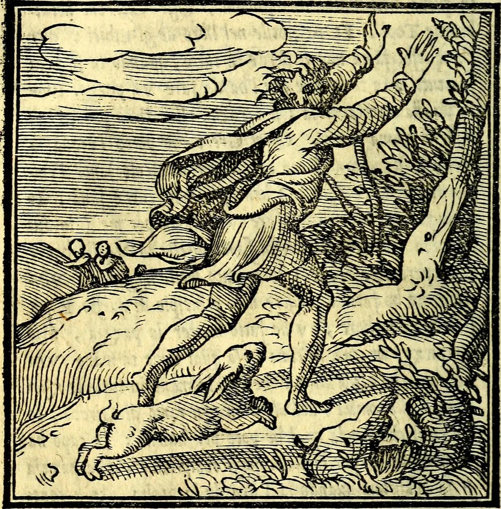 An illustration from La zvcca del Doni, 1551, leaf 141