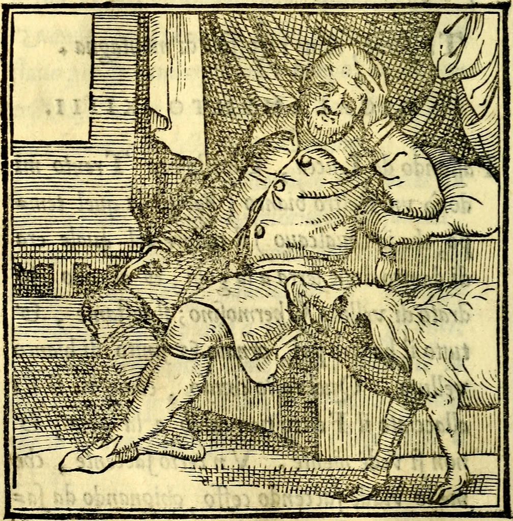 An illustration from La zvcca del Doni, 1551, leaf 57
