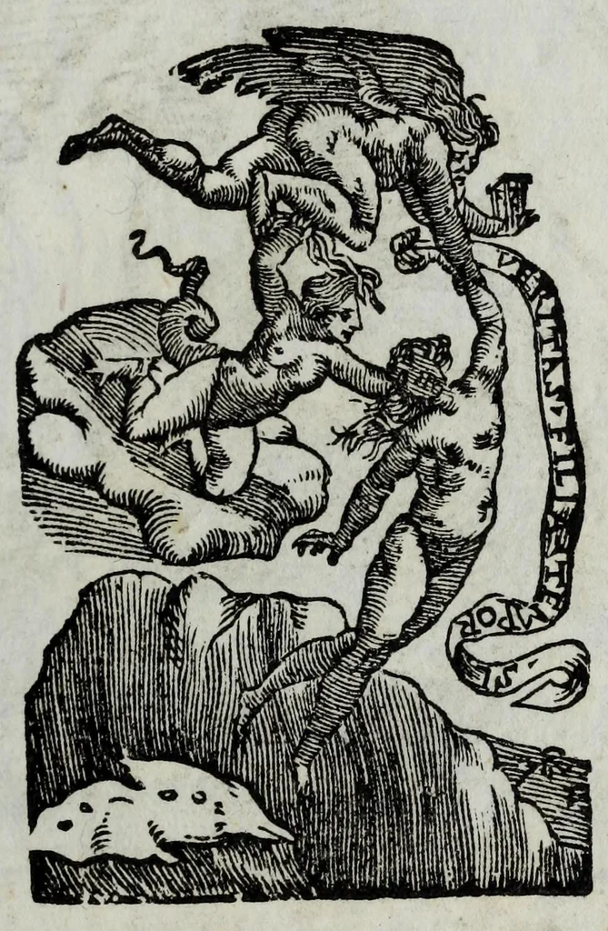 An illustration from La zvcca del Doni, 1551, leaf 177