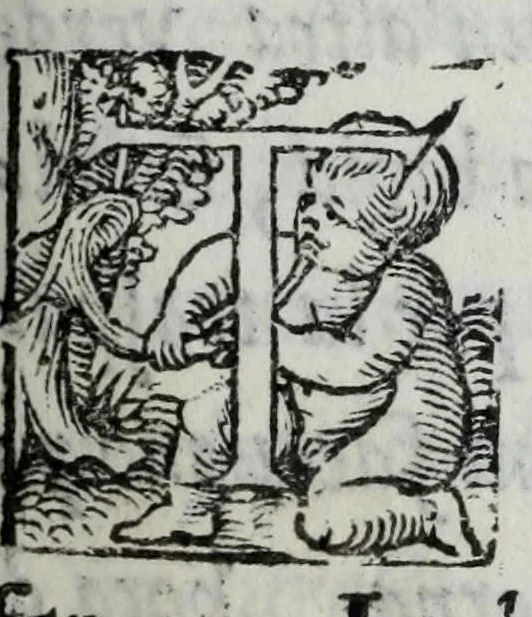 An illustration from La zvcca del Doni, 1551, leaf 283