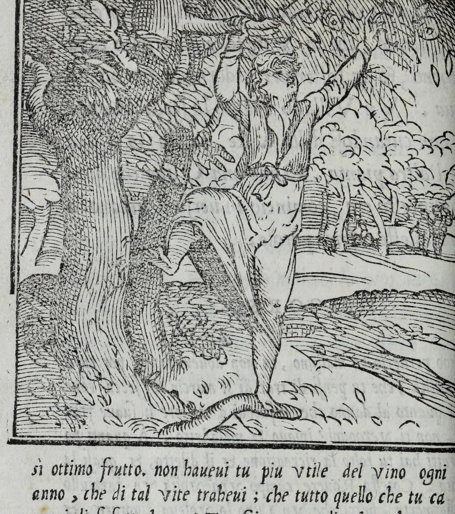 An illustration from La zvcca del Doni, 1551, leaf 572