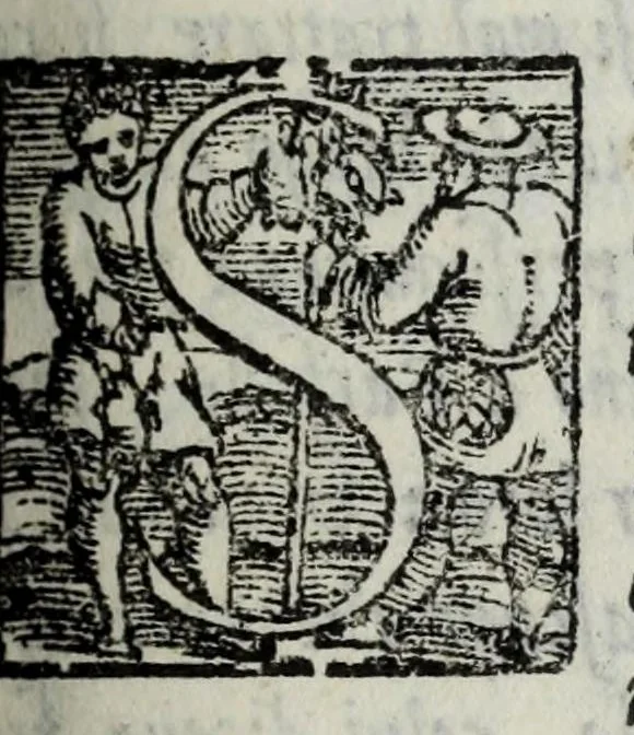 An illustration from La zvcca del Doni, 1551, leaf 621