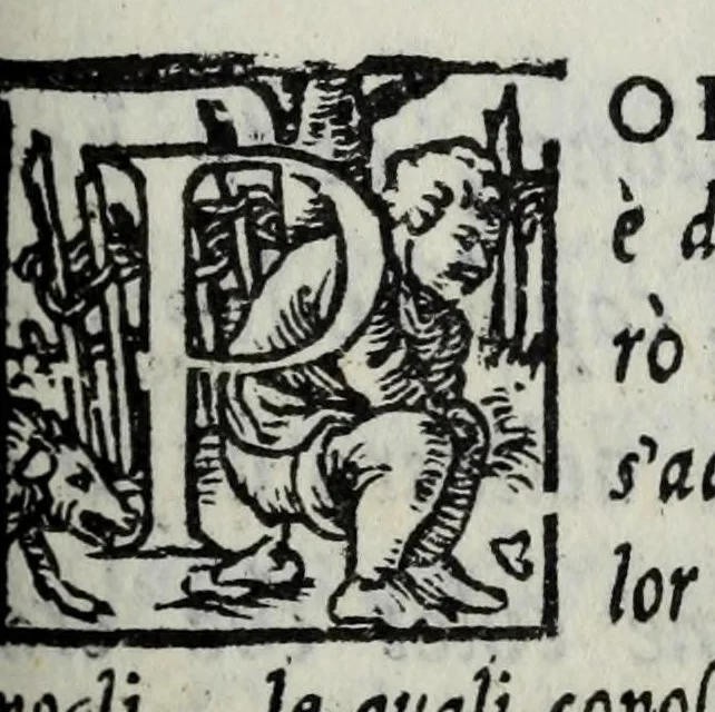 An illustration from La zvcca del Doni, 1551, leaf 633