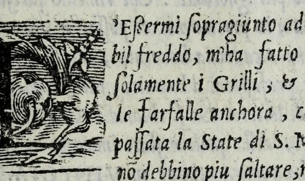 An illustration from La zvcca del Doni, 1551, leaf 637