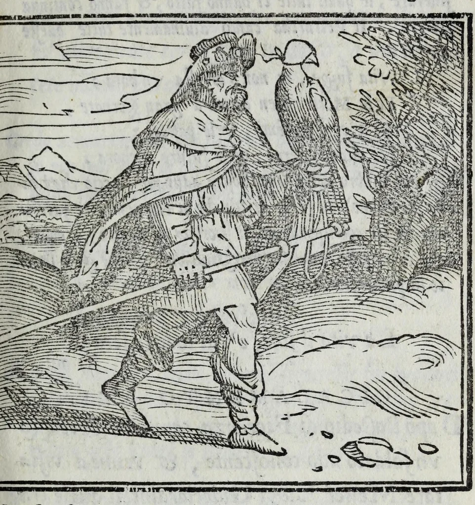 An illustration from La zvcca del Doni, 1551, leaf 75