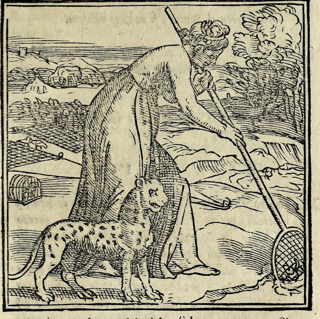An illustration from La zvcca del Doni, en spañol, 1551, leaf 97