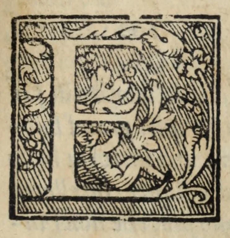 An illustration from La zvcca del Doni fiorentino, divisa in cinqve libri di gran ualore, sotto titolo di poca consideratione .., 1565, leaf 125