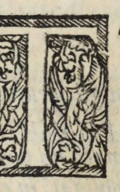 An illustration from La zvcca del Doni fiorentino, divisa in cinqve libri di gran ualore, sotto titolo di poca consideratione .., 1565, leaf 235