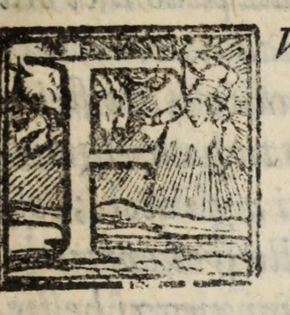 An illustration from La zvcca del Doni fiorentino, divisa in cinqve libri di gran ualore, sotto titolo di poca consideratione .., 1565, leaf 311