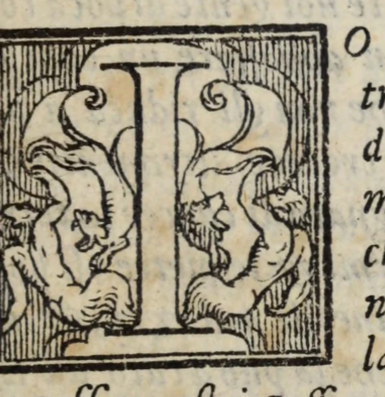An illustration from La zvcca del Doni fiorentino, divisa in cinqve libri di gran ualore, sotto titolo di poca consideratione .., 1565, leaf 513