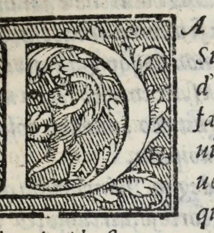 An illustration from La zvcca del Doni fiorentino, divisa in cinqve libri di gran ualore, sotto titolo di poca consideratione .., 1565, leaf 533