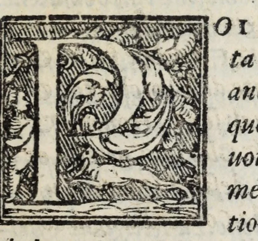 An illustration from La zvcca del Doni fiorentino, divisa in cinqve libri di gran ualore, sotto titolo di poca consideratione .., 1565, leaf 555