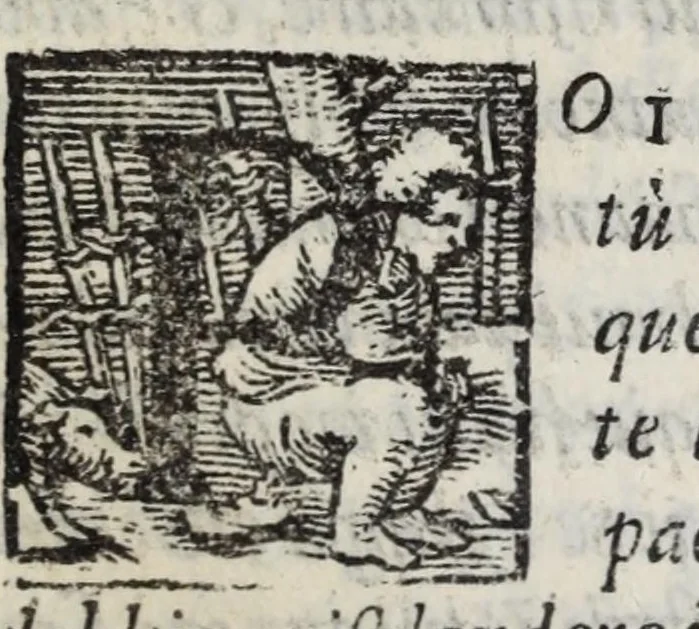 An illustration from La zvcca del Doni fiorentino, divisa in cinqve libri di gran ualore, sotto titolo di poca consideratione .., 1565, leaf 565