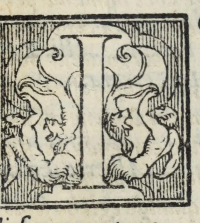 An illustration from La zvcca del Doni fiorentino, divisa in cinqve libri di gran ualore, sotto titolo di poca consideratione .., 1565, leaf 623