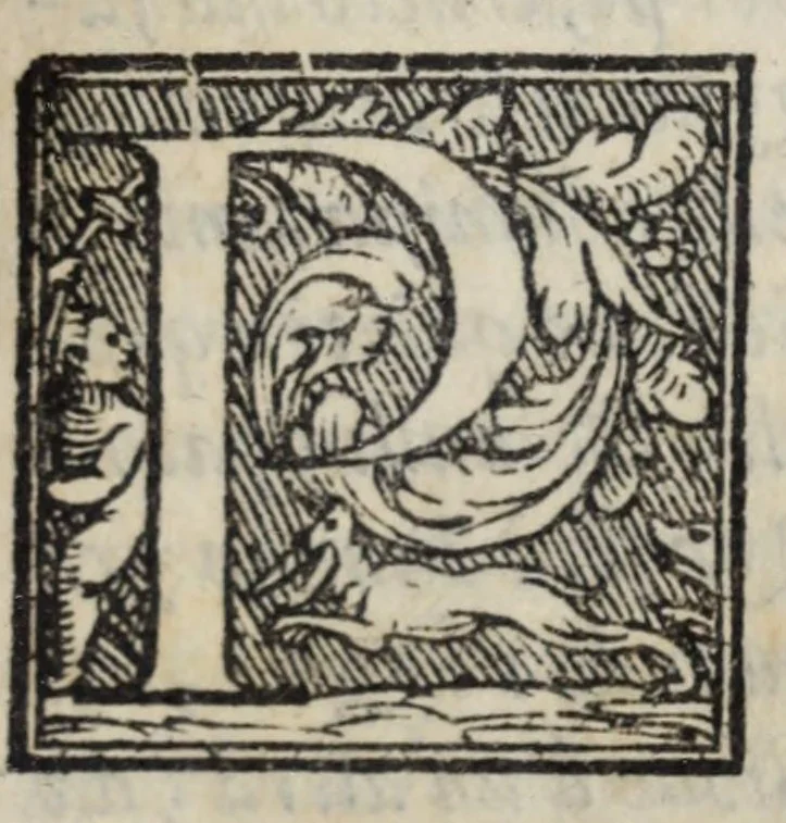 An illustration from La zvcca del Doni fiorentino, divisa in cinqve libri di gran ualore, sotto titolo di poca consideratione .., 1565, leaf 79