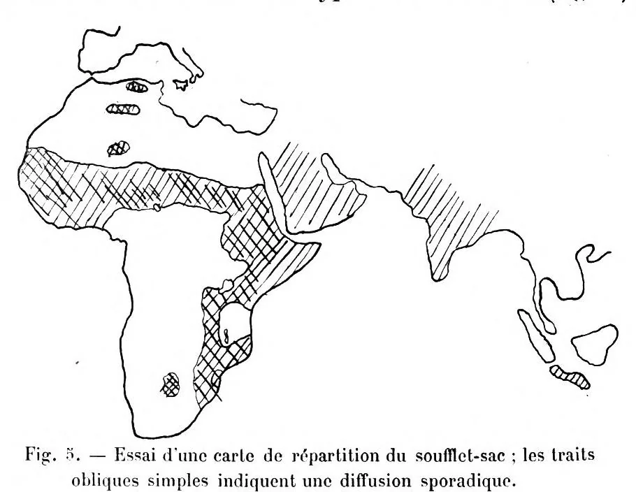 An illustration from Études d'ethnographie algérienne : Les soufflets algériens -Les poteries kabyles. - Le tissage aux cartons - L'art décoratif, 1911, leaf 14