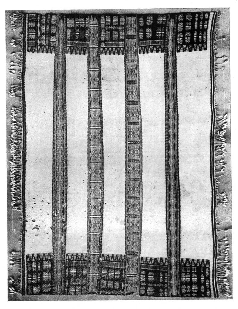 An illustration from Études d'ethnographie algérienne : Les soufflets algériens -Les poteries kabyles. - Le tissage aux cartons - L'art décoratif, 1911, leaf 97