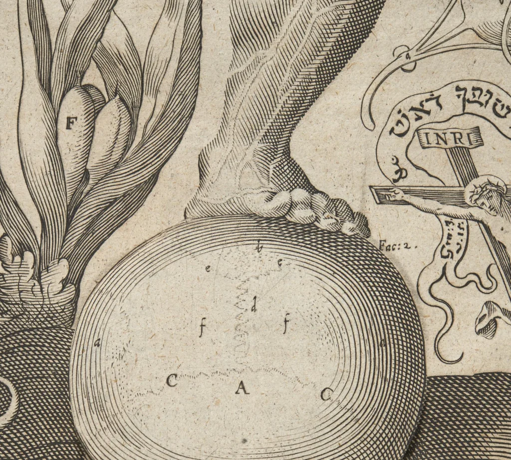 An illustration from Kleiner welt spiegel, das ist, abbildung göttlicher schöpffung an dess menschen leib : mit beygesetzer schrifftlicher Erklärung : so wo zu Gottes Weissheit : als dess menschen selbst erkandtnuss dienend, 1661, leaf 100