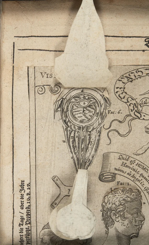 An illustration from Kleiner welt spiegel, das ist, abbildung göttlicher schöpffung an dess menschen leib : mit beygesetzer schrifftlicher Erklärung : so wo zu Gottes Weissheit : als dess menschen selbst erkandtnuss dienend, 1661, leaf 41