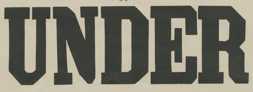 An illustration from Specimens of holly wood type, 1880, leaf 6