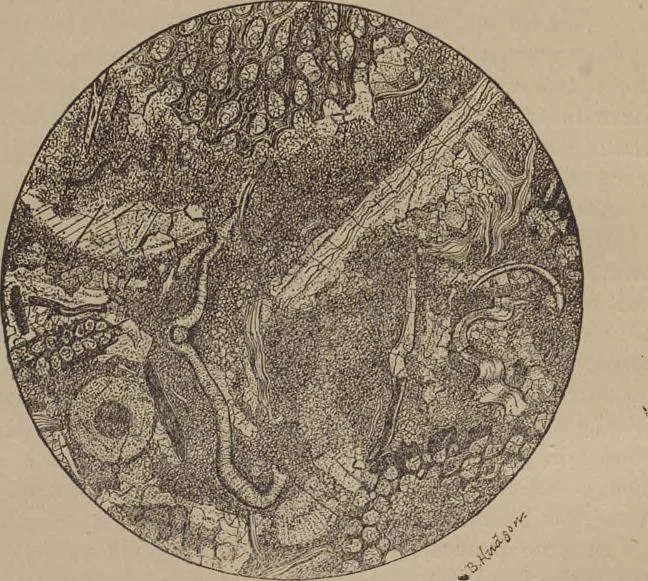 An illustration from Stones for building and decoration, 1910, leaf 247