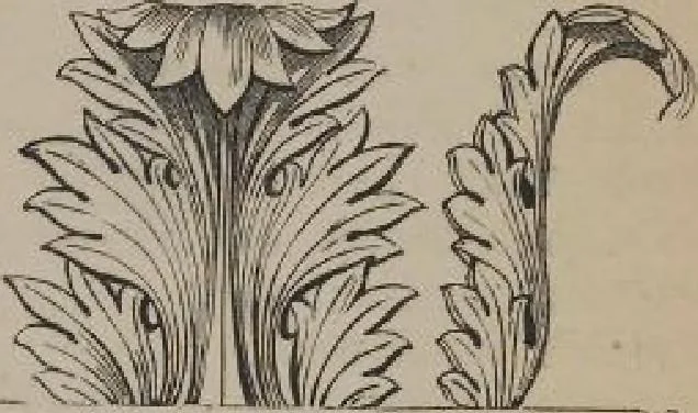 An illustration from A concise glossary of terms used in Grecian, Roman, Italian, and Gothic architecture, 1905, leaf 11