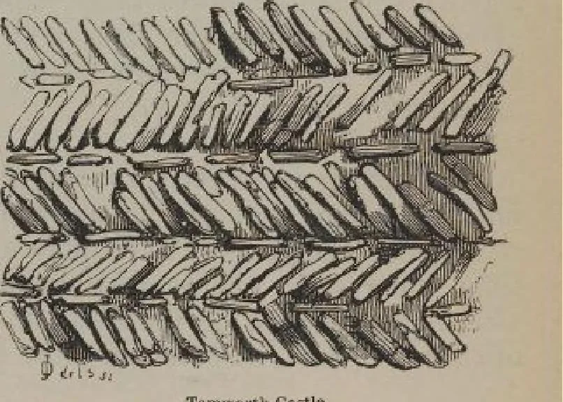 An illustration from A concise glossary of terms used in Grecian, Roman, Italian, and Gothic architecture, 1905, leaf 141
