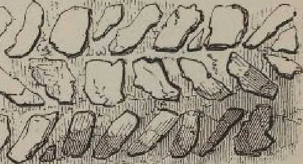 An illustration from A concise glossary of terms used in Grecian, Roman, Italian, and Gothic architecture, 1905, leaf 142