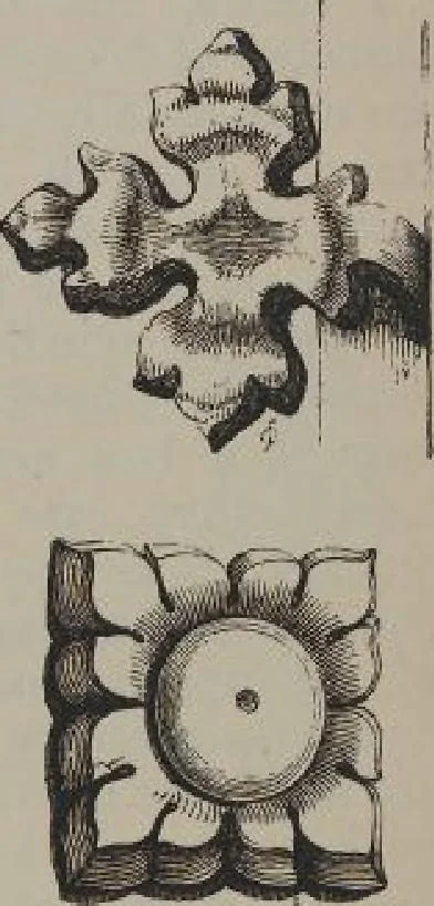An illustration from A concise glossary of terms used in Grecian, Roman, Italian, and Gothic architecture, 1905, leaf 148