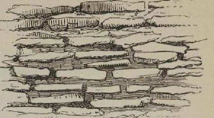 An illustration from A concise glossary of terms used in Grecian, Roman, Italian, and Gothic architecture, 1905, leaf 226