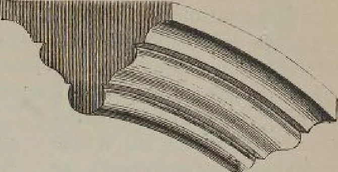 An illustration from A concise glossary of terms used in Grecian, Roman, Italian, and Gothic architecture, 1905, leaf 232