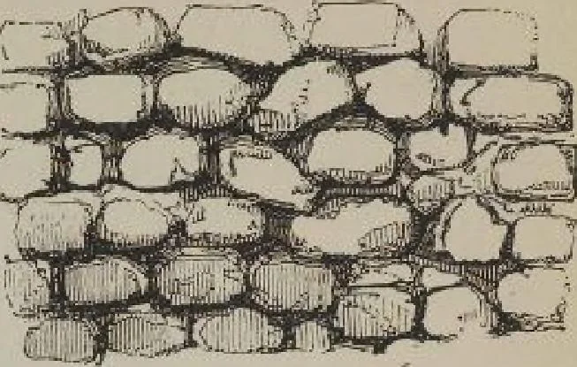 An illustration from A concise glossary of terms used in Grecian, Roman, Italian, and Gothic architecture, 1905, leaf 246