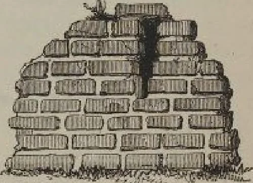 An illustration from A concise glossary of terms used in Grecian, Roman, Italian, and Gothic architecture, 1905, leaf 84