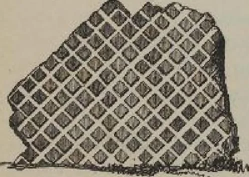 An illustration from A concise glossary of terms used in Grecian, Roman, Italian, and Gothic architecture, 1905, leaf 84