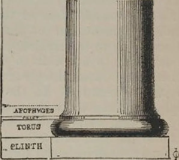 An illustration from A concise glossary of terms used in Grecian, Roman, Italian, and Gothic architecture, 1905, leaf 87