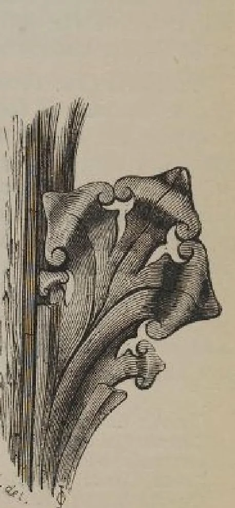 An illustration from A concise glossary of terms used in Grecian, Roman, Italian, and Gothic architecture, 1905, leaf 93