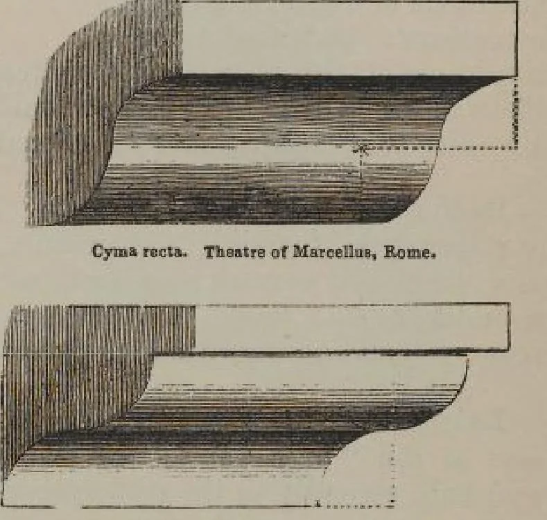 An illustration from A concise glossary of terms used in Grecian, Roman, Italian, and Gothic architecture, 1905, leaf 98