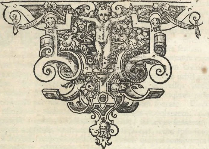 An illustration from P. WinsemI IC. illustrium Ordinum Frisiae Historiographi ac eloquentiae et historiarum professoris Historiarum ab excessv Caroli V. caesaris, sive, Rerum sub Philippo II. per Frisiam gestarum, 1646, leaf 122