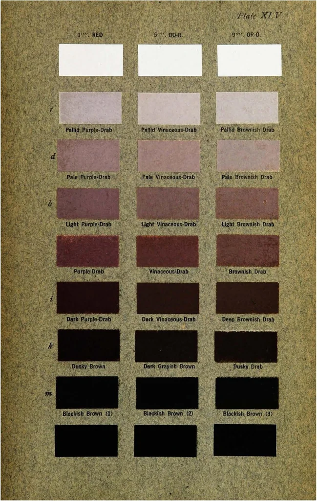 An illustration from Color standards and color nomenclature, 1912, leaf 146