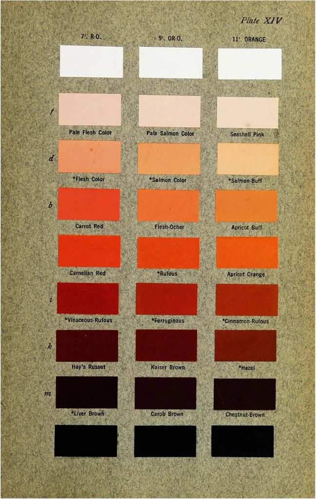 An illustration from Color standards and color nomenclature, 1912, leaf 84