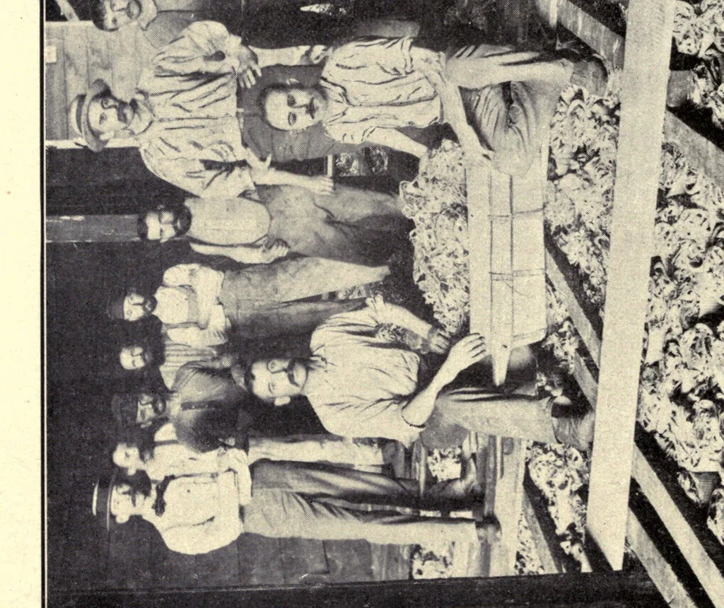 An illustration from The lead and zinc pigments, 1909, leaf 74