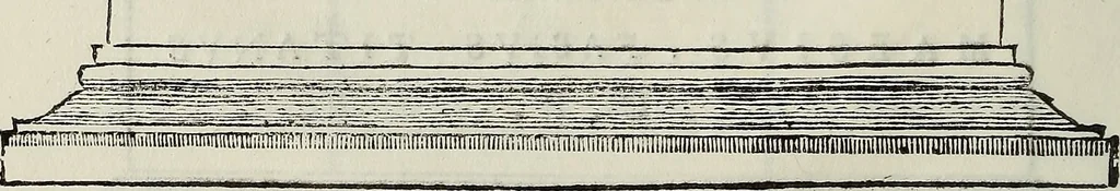 An illustration from Le antiche iscrizioni di Palermo : raccolte, e spiegate sotto gli auspizi dell'eccellentissimo Senato palermitano, grande di Spagna di prima classe, 1762, leaf 43