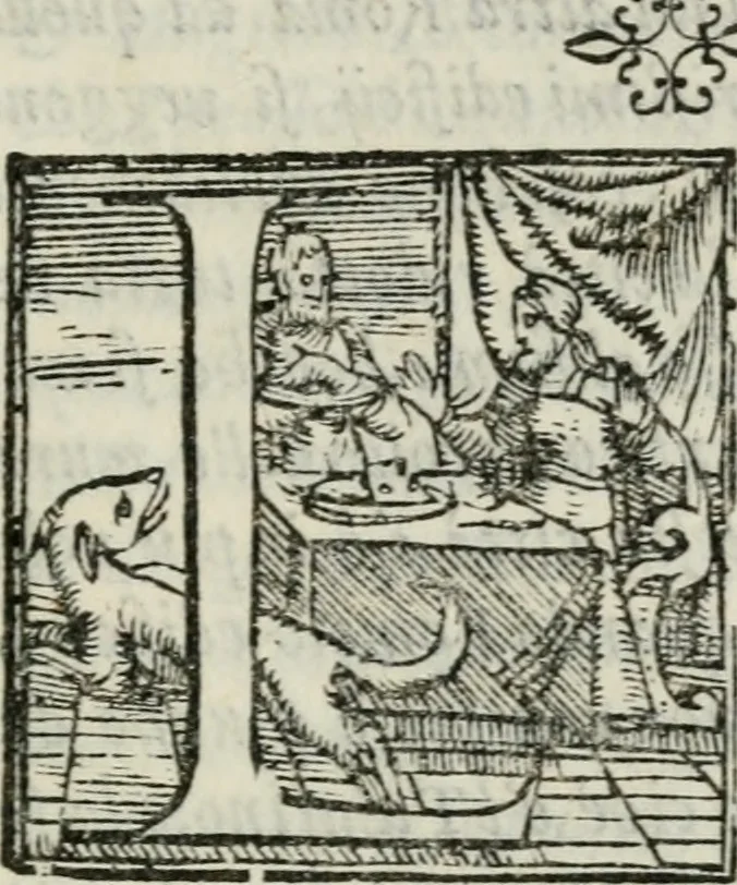 An illustration from Le antichita de la citta di Roma, 1556, leaf 28