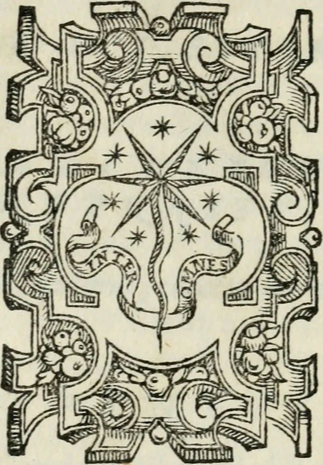 An illustration from Le antichita de la citta di Roma, 1556, leaf 345