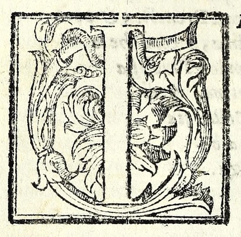 An illustration from Le antichità della citta di Roma : raccolte sotto brevita da diuersi antichi & moderni scrittori, 1588, leaf 198