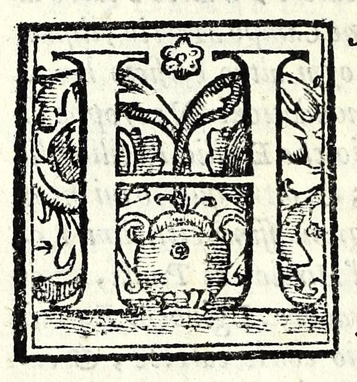 An illustration from Le antichità della citta di Roma : raccolte sotto brevita da diuersi antichi & moderni scrittori, 1588, leaf 324