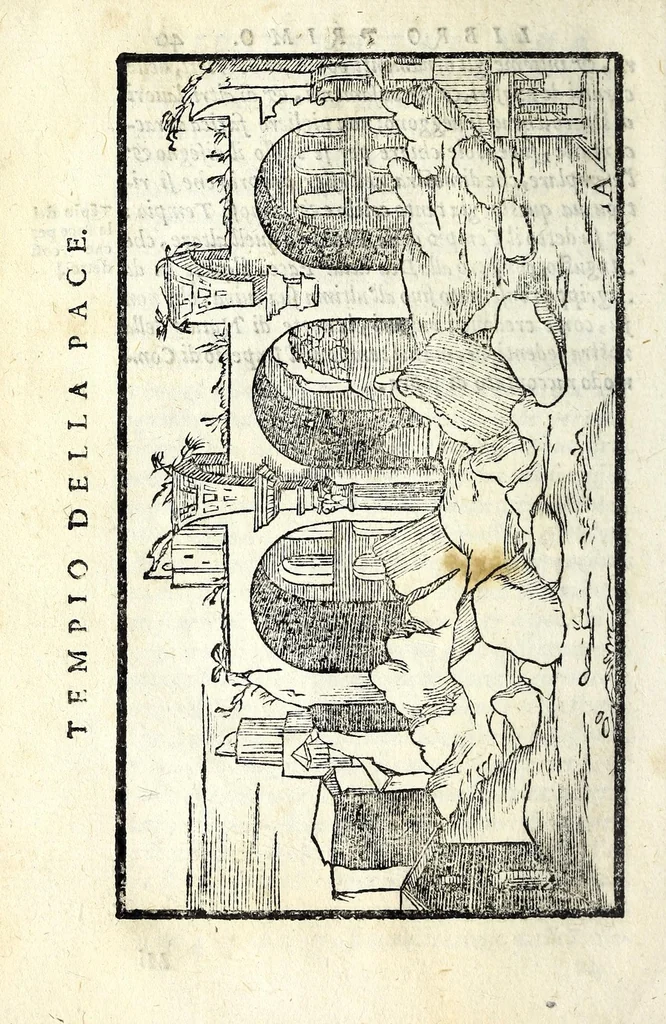 An illustration from Le antichità della citta di Roma : raccolte sotto brevita da diuersi antichi & moderni scrittori, 1588, leaf 84