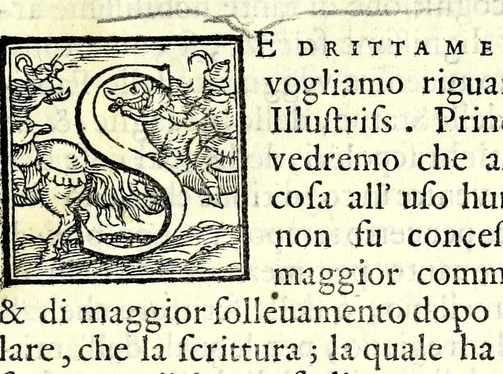 An illustration from Le antichità della città di Roma : raccolte sotto brevità da diuersi antichi & moderni scrittori, 1569, leaf 11